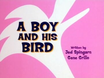A-Boy-And-His-Bird