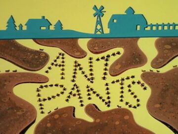 Ant-Pants