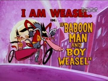 Baboon-Man-and-Boy-Weasel