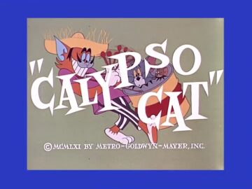Calypso-Cat