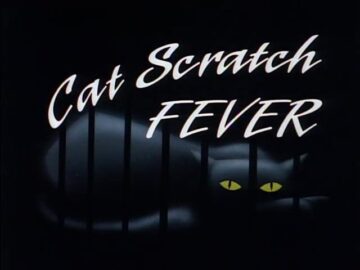 Cat-Scratch-Fever