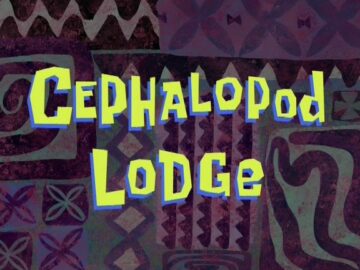 Cephalopod-Lodge