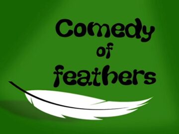 Comedy-of-Feathers