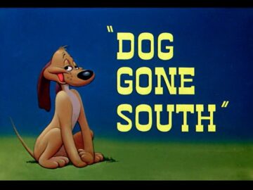 Dog-Gone-South