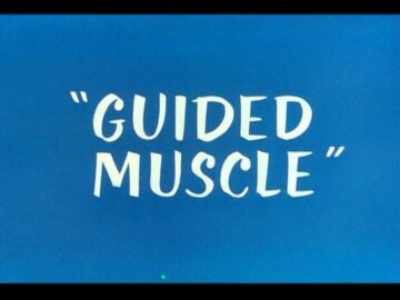 Guided-Muscle