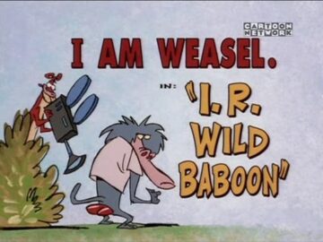 I.R.-Wild-Baboon