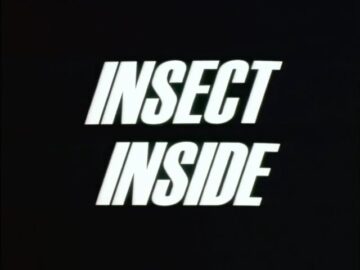 Insect-Inside