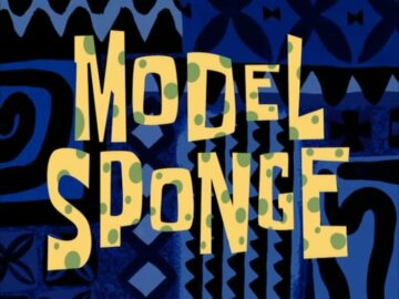 Model-Sponge