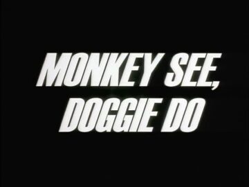 Monkey-See-Doggie-Do