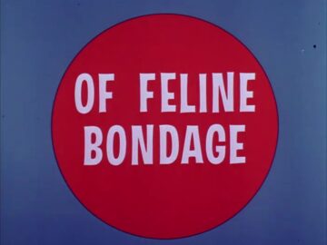 Of-Feline-Bondage