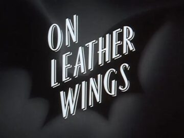 On-leather-Wings