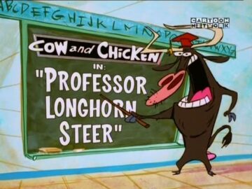 Professer-Longhorn-Steer