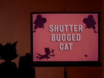 Shutter-bugged-Cat
