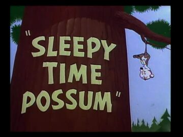 Sleepy-Time-Possum