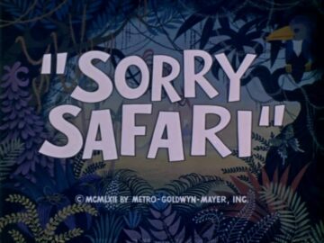 Sorry-Safari