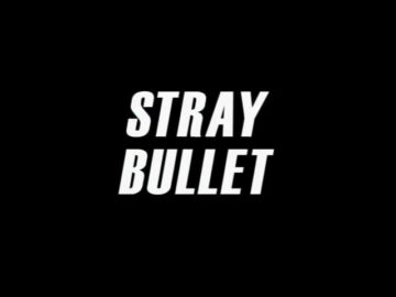 Stray-Bullet