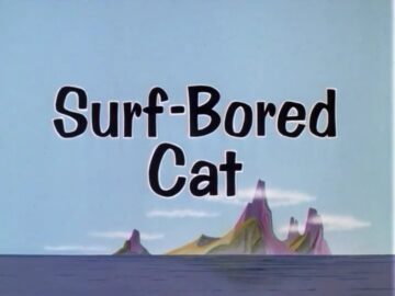Surf-Bored-Cat