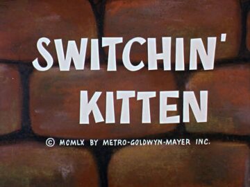 Switchin-Kitten