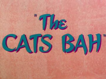 The-Cats-Bah