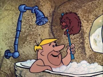 The-Flintstone-Canaries