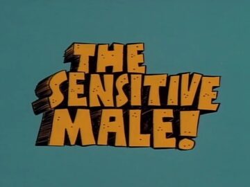 The-Sensitive-Male