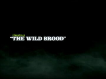 The-Wild-Brood