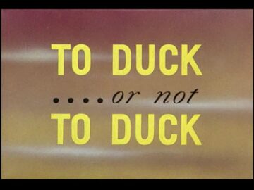 To-Duck-or-Not-to-Duck