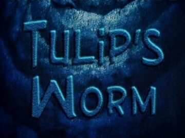 Tulips-Worm