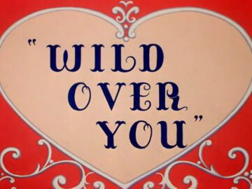 Wild-Over-You
