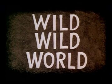 Wild-Wild-World